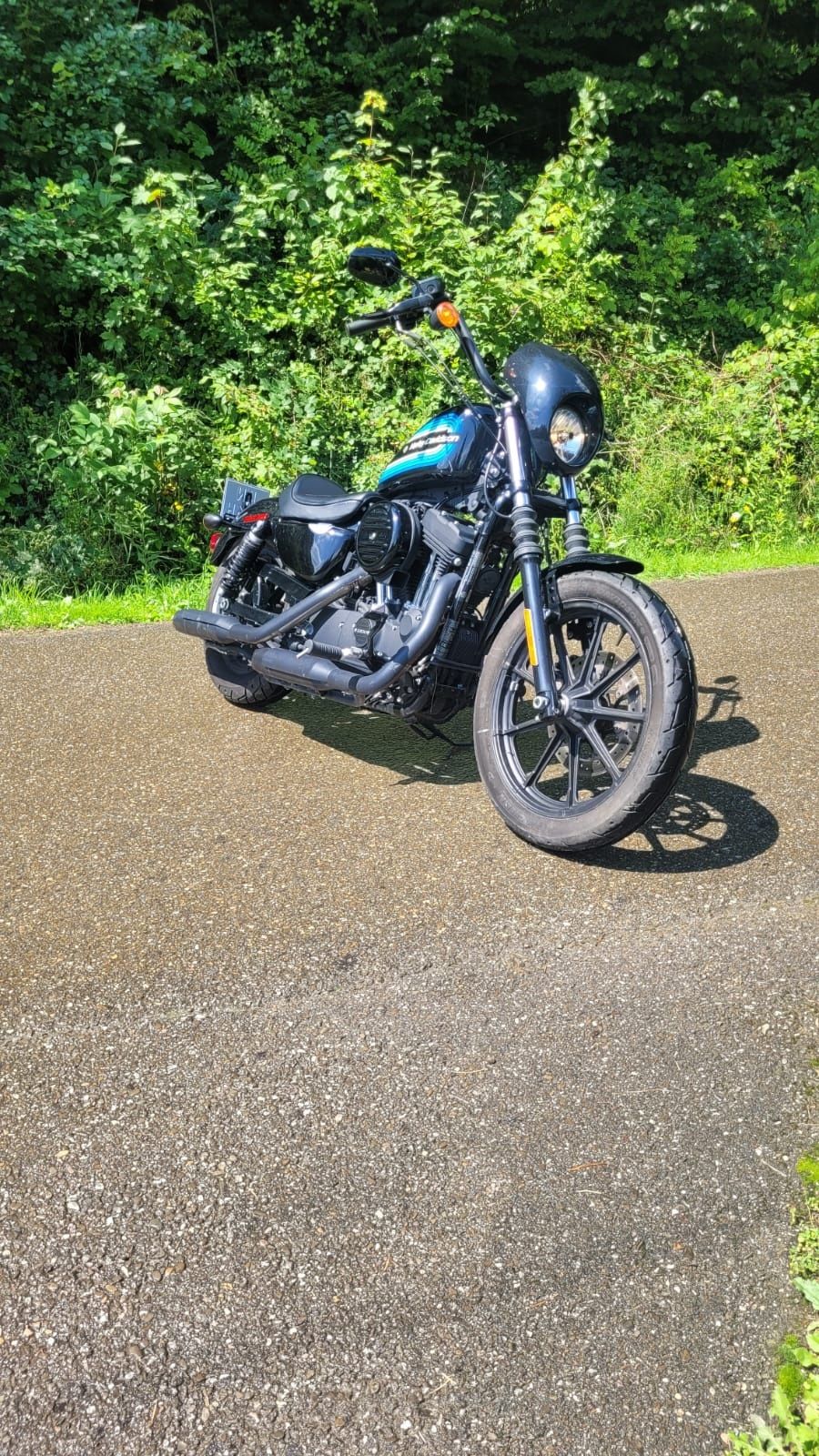 Harley - Davidson FXE