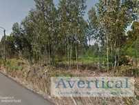 Terrenos até 120.000m2 - várias atividades