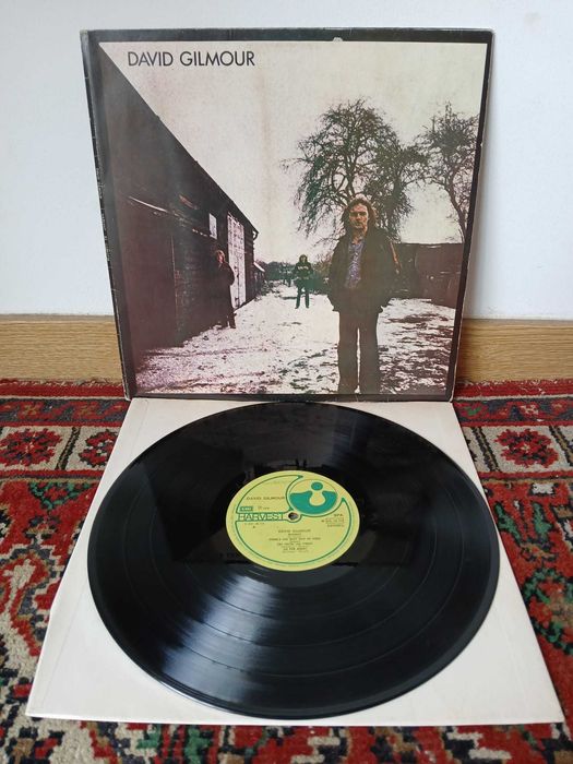 Pink Floyd, David Gilmour e Roger Waters : Lote discos de vinil