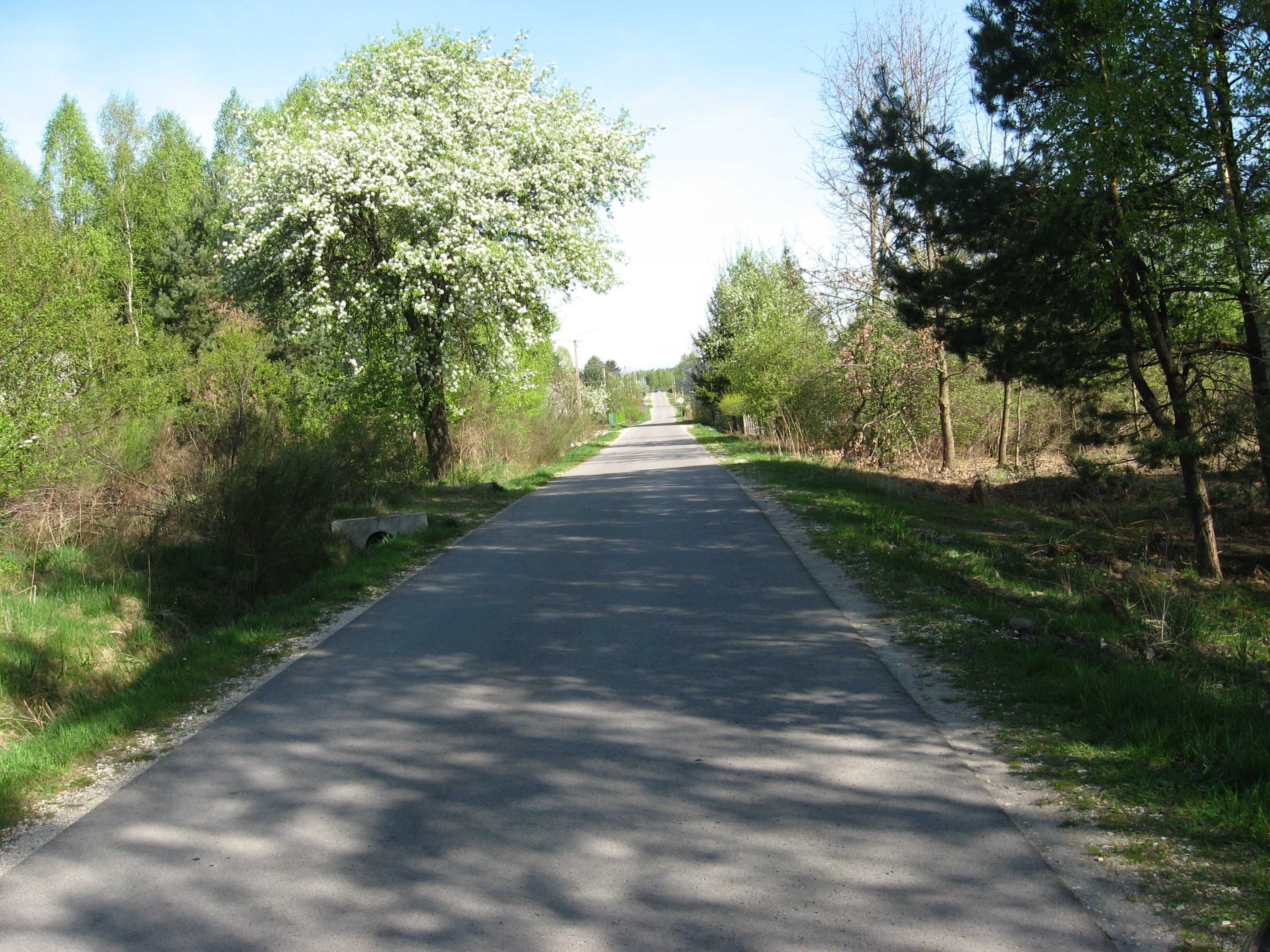 Działka budowlana 4400 m, Wielka Wieś