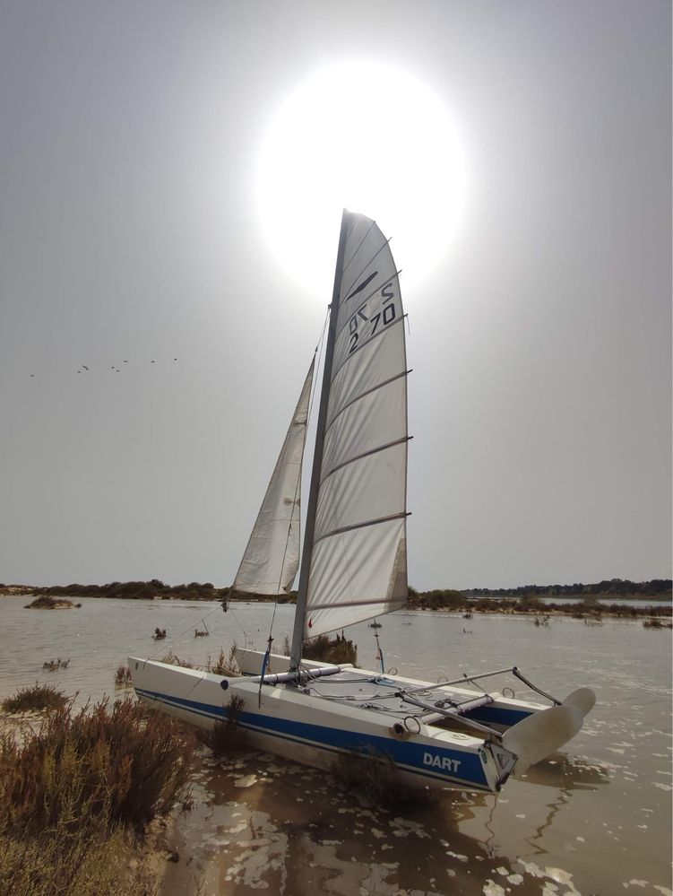 Catamarã DART 18, Vela ligeira.