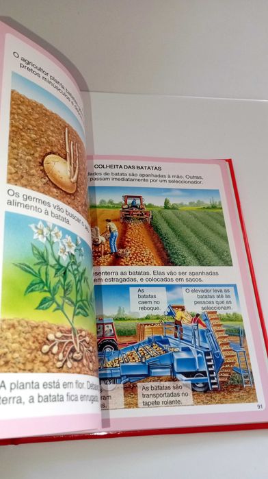 Dicionário por imagens da Quinta