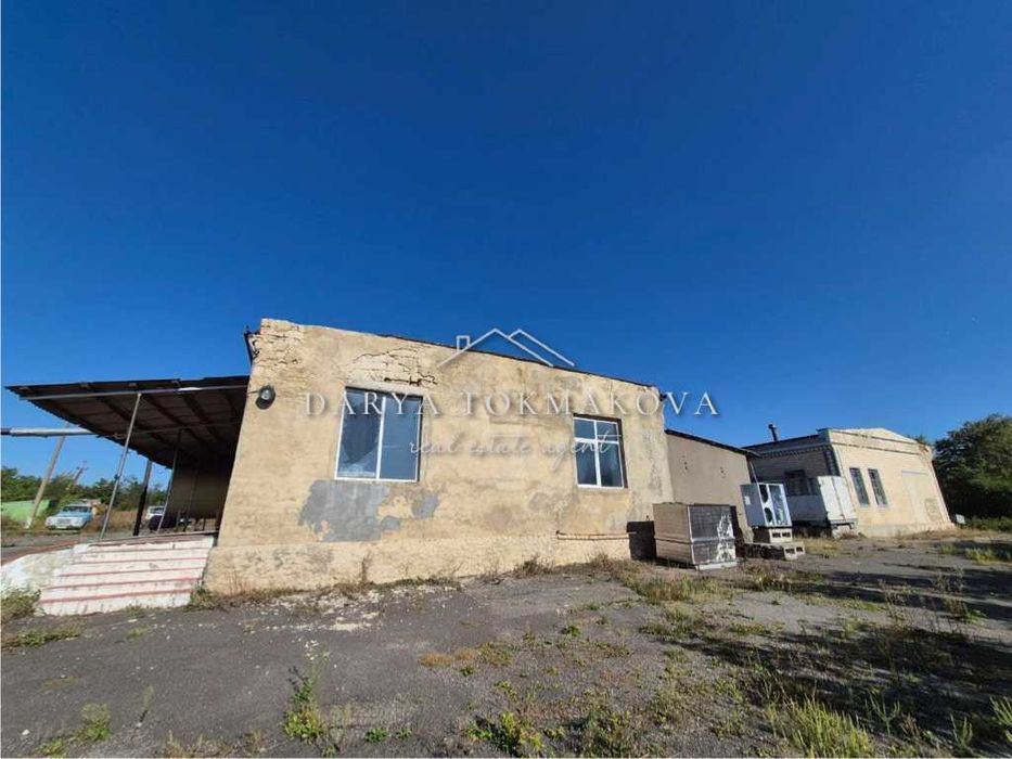 Продаж Піщанський молокозавод Без%