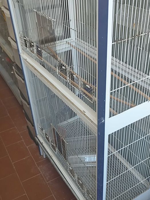Gaiola para aves