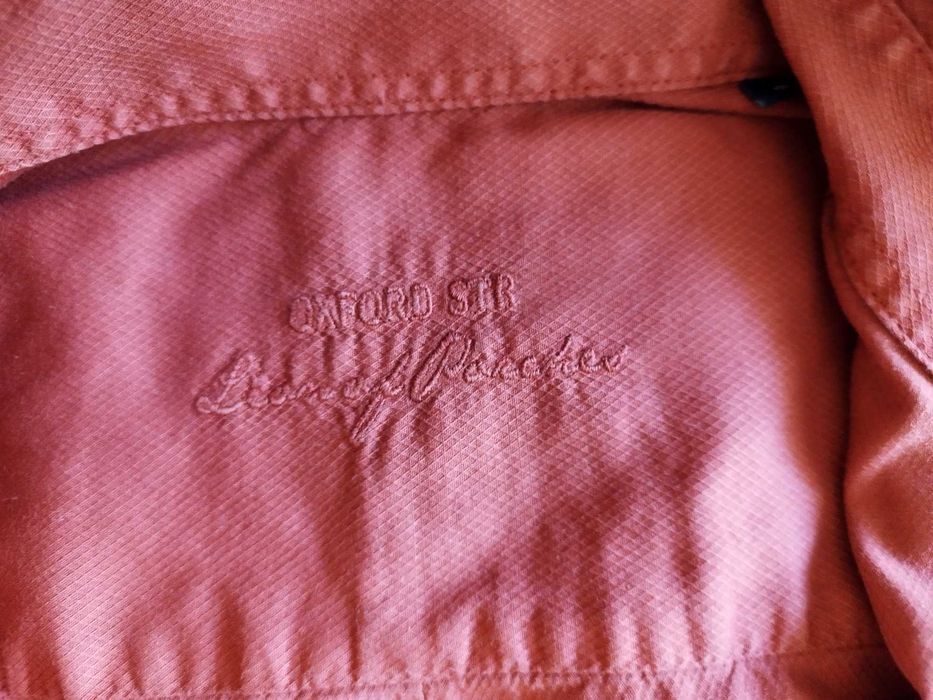 Camisa de homem Lion of Porches