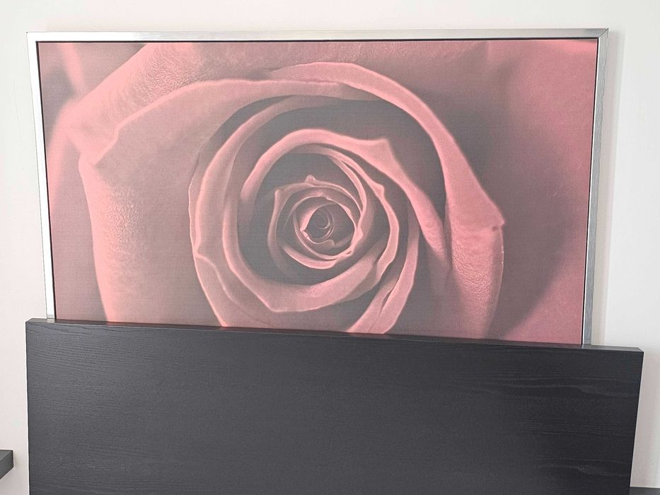 Quadro com rosa com respectiva moldura