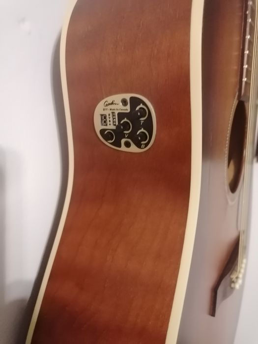 Seagull Entourage Rustic Qit