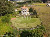 Quinta das Romeiras - Wine Estate, Ilha da Madeira