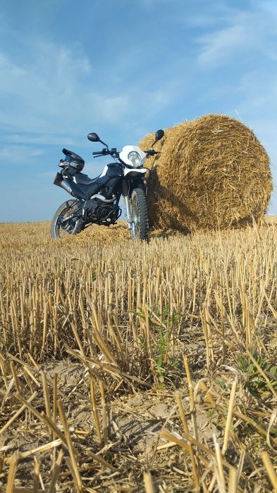 Shineray xy200gy-6c