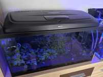 Akwarium AQUAEL 112 litrów z pełnym osprzętem 80x35x40 3xLED