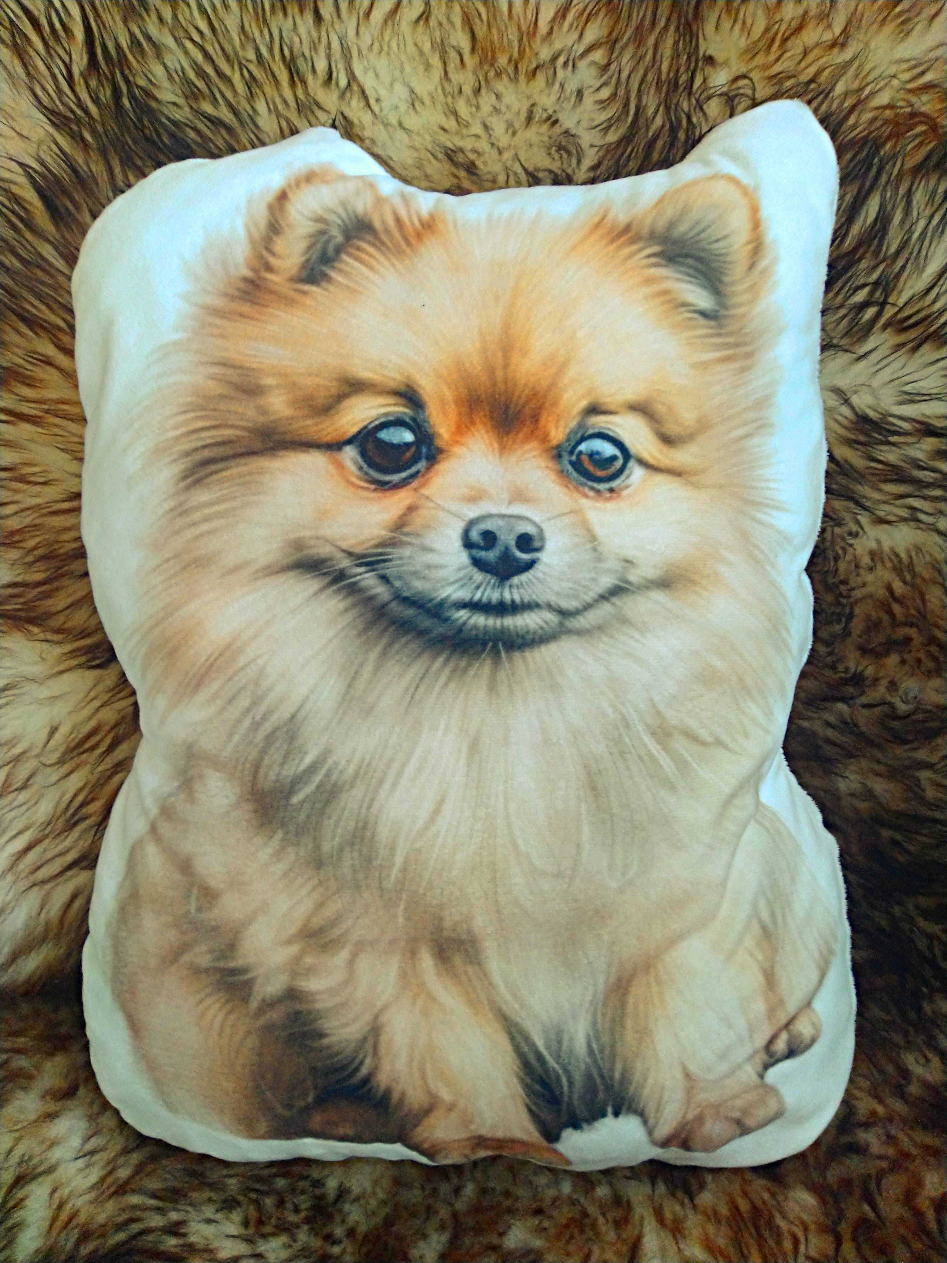 Poduszka przytulanka pieski psy rasowe poduszki dekoracyjne
