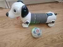 Robot cão a funcionar