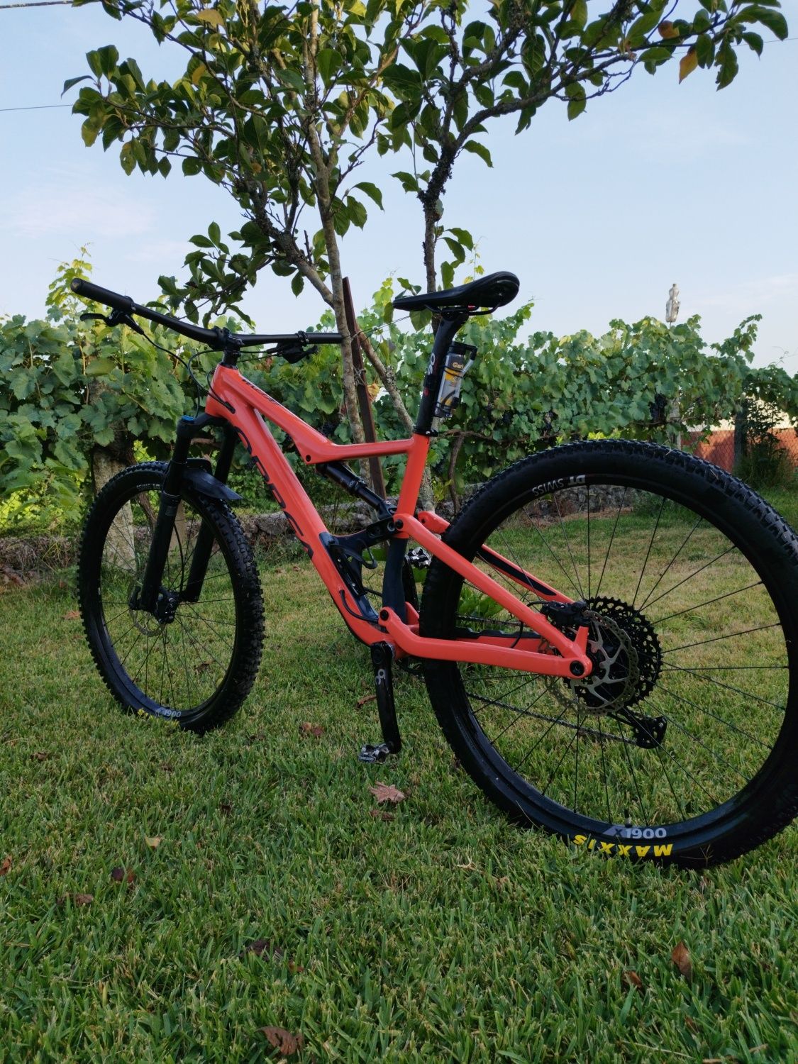 ORBEA OCCAM L 29
 bicicleta de 2022 como nova
pneu