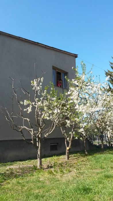 Продаж ДОБРОТНОГО Сімейного Будинку