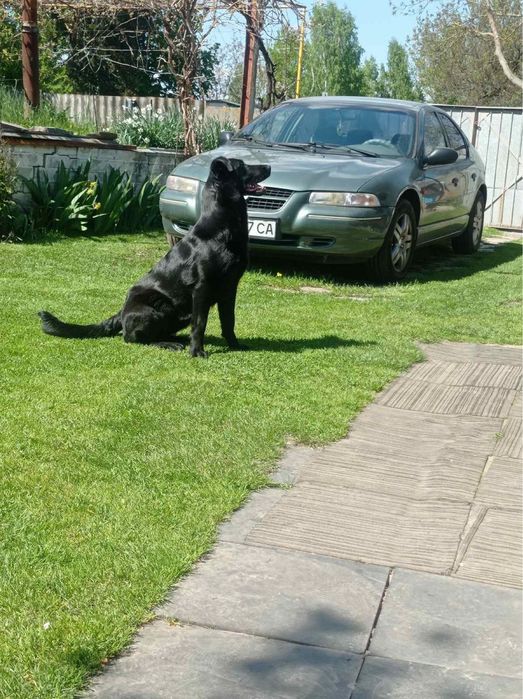 Chrysler Stratus LE 2.0