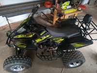 Quad 250 bashan 250