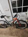 Bicicleta de adulto cor laranja