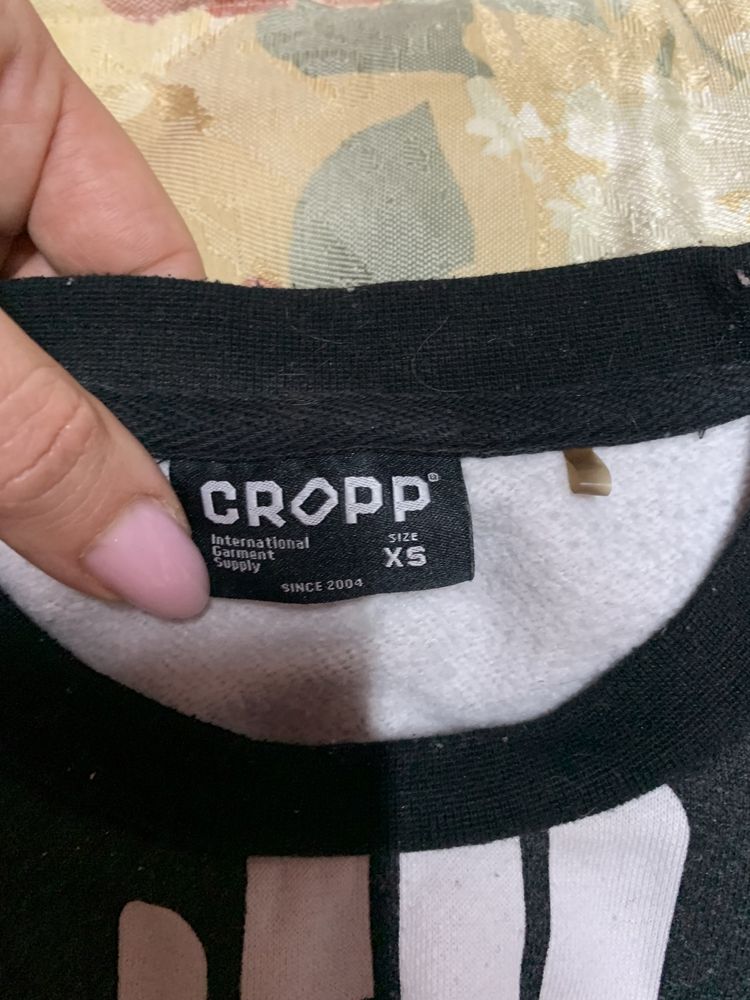 Cropp штаны, реглан