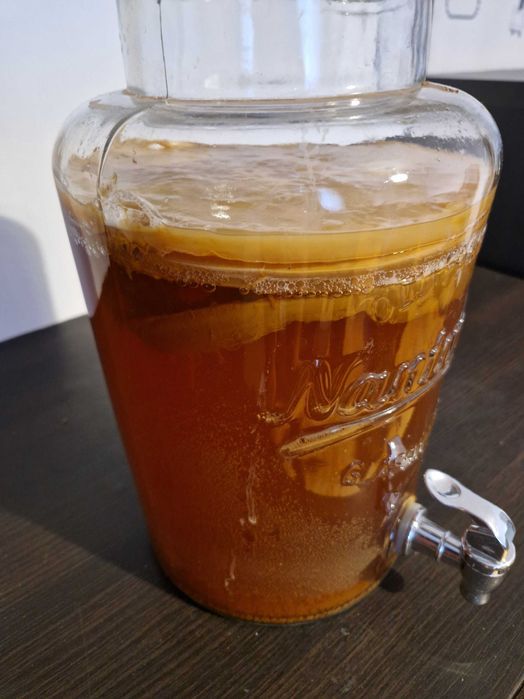 Kombucha / Kombucza- grzybek herbaciany. ZA DARMO!!!