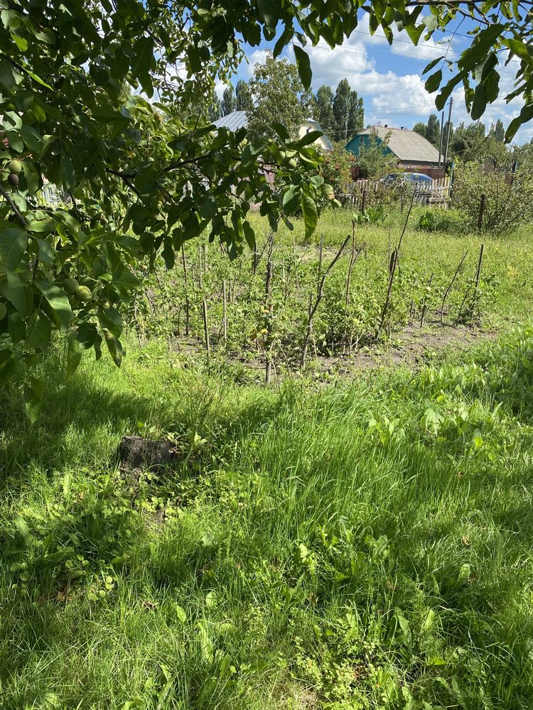 Продам будинок з приватизованою землею у черті міста