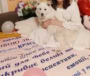 Цуценятка Помскі