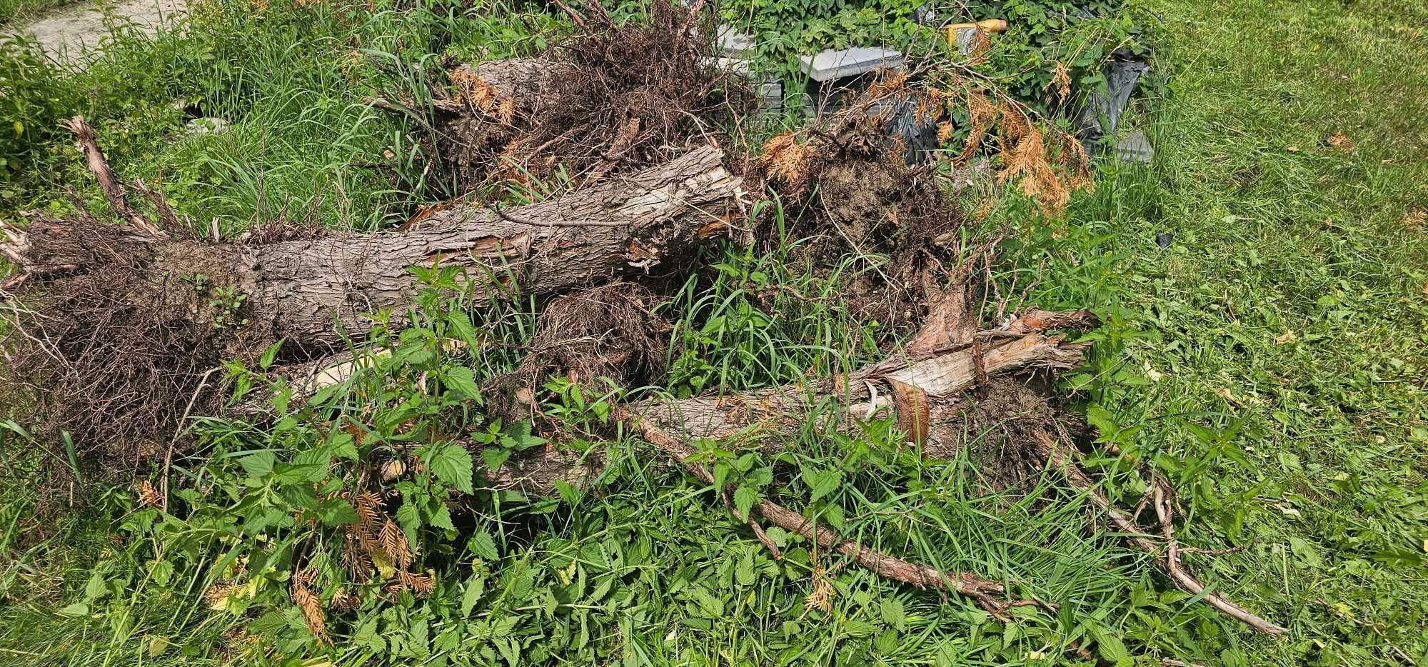 Oddam drewno pozostałe po remoncie budynku