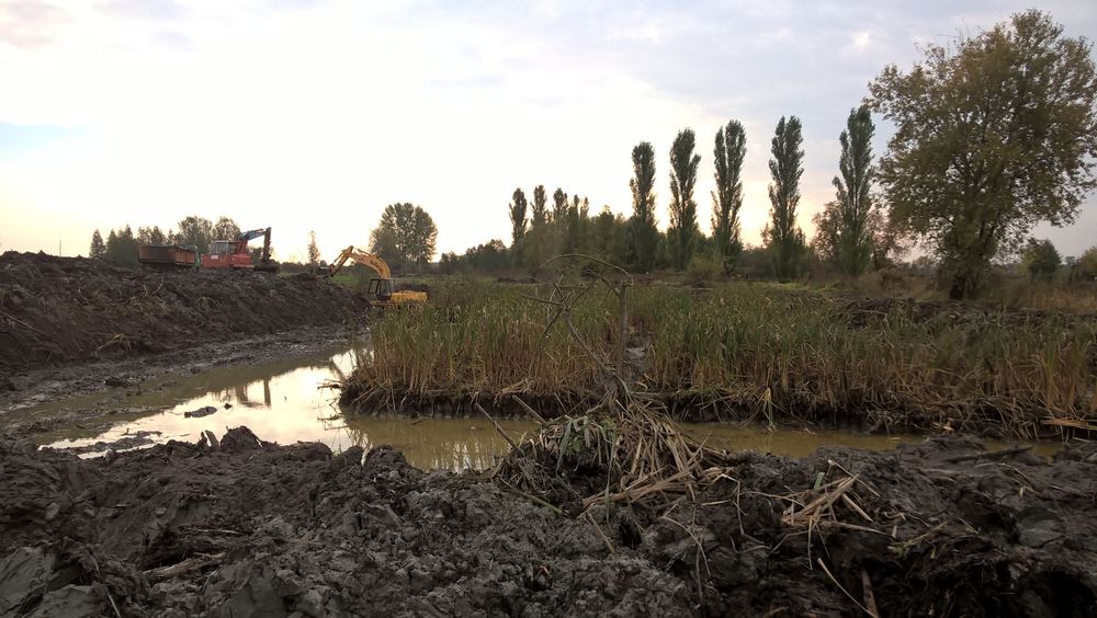 Kopanie czyszczenie stawów,rozbiórki, Wyburzenia, usługi koparką.