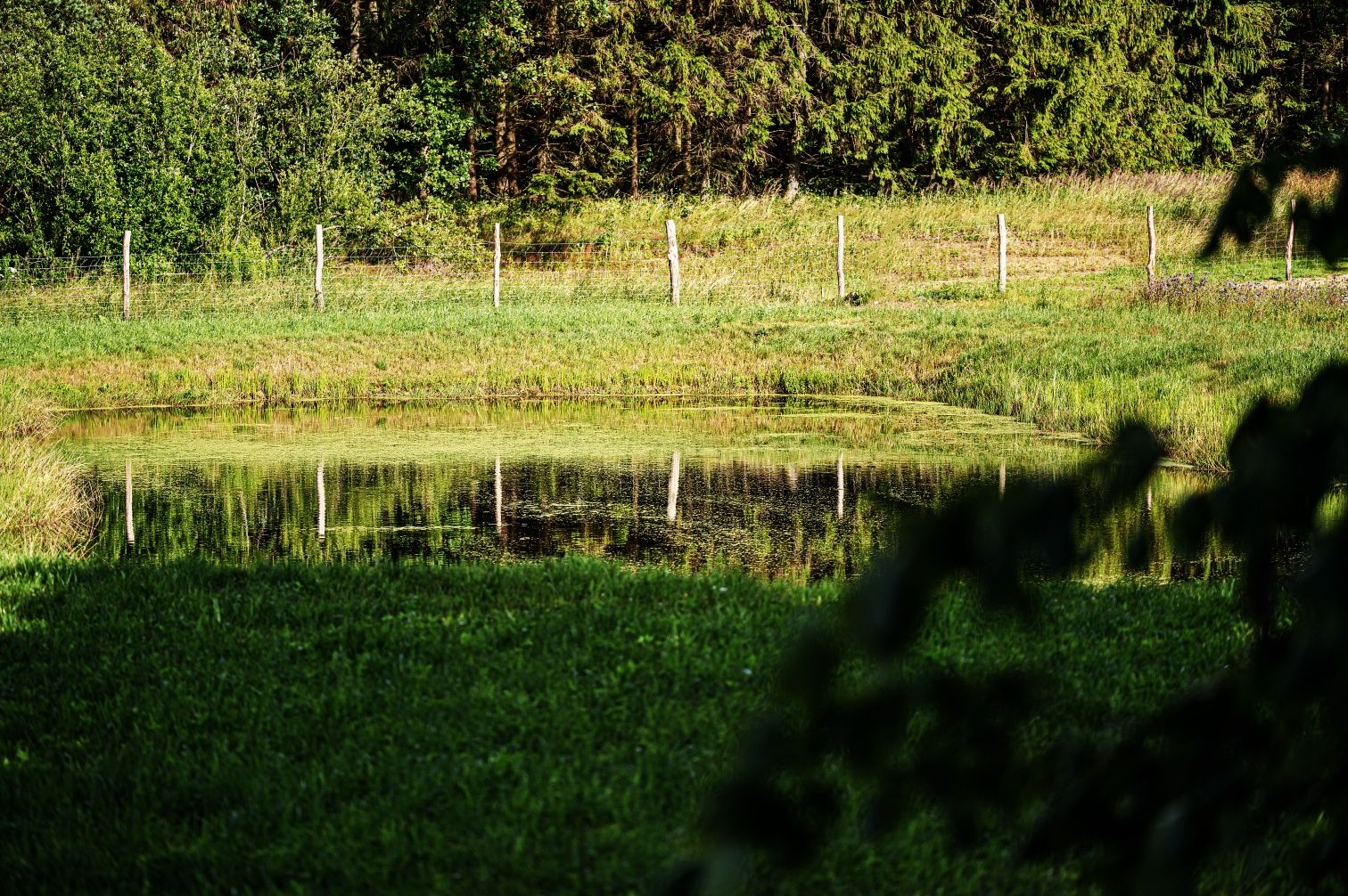 Ziemia rolna 11 hektarów przy lesie, mazury , działki rekreacyjne