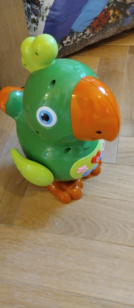 Gadająca śpiewająca papuga
