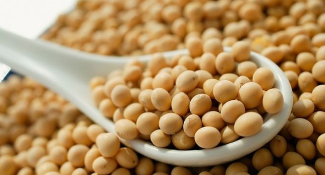 Продам насіння сої ГМО, семена сои раундапоустойчивые, потенциал 8 тон