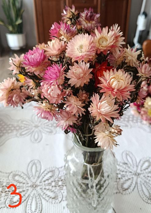 Suszone bukiety kocanki