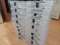 Organizer NUN12 16szt!