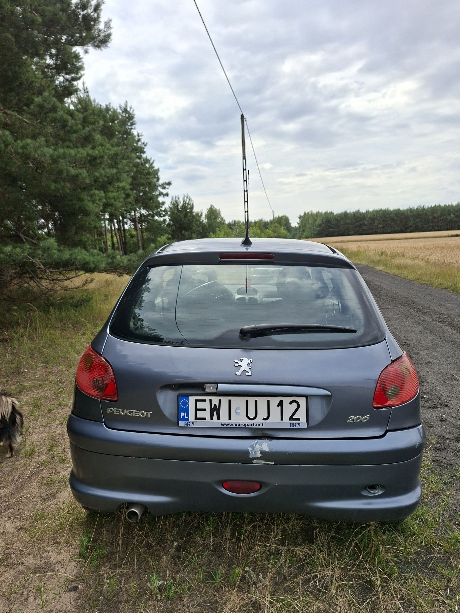 Peugeot 206 1.4 benzyna 2005 r