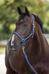 Kantar dla konia Hippo, granatowy/niebieski, Covalliero cob lub full