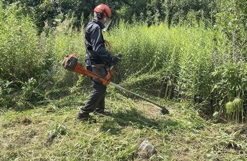 Покіс трави,бурʼяну,вивіз сміття.Послуги садівника.Бучанський район