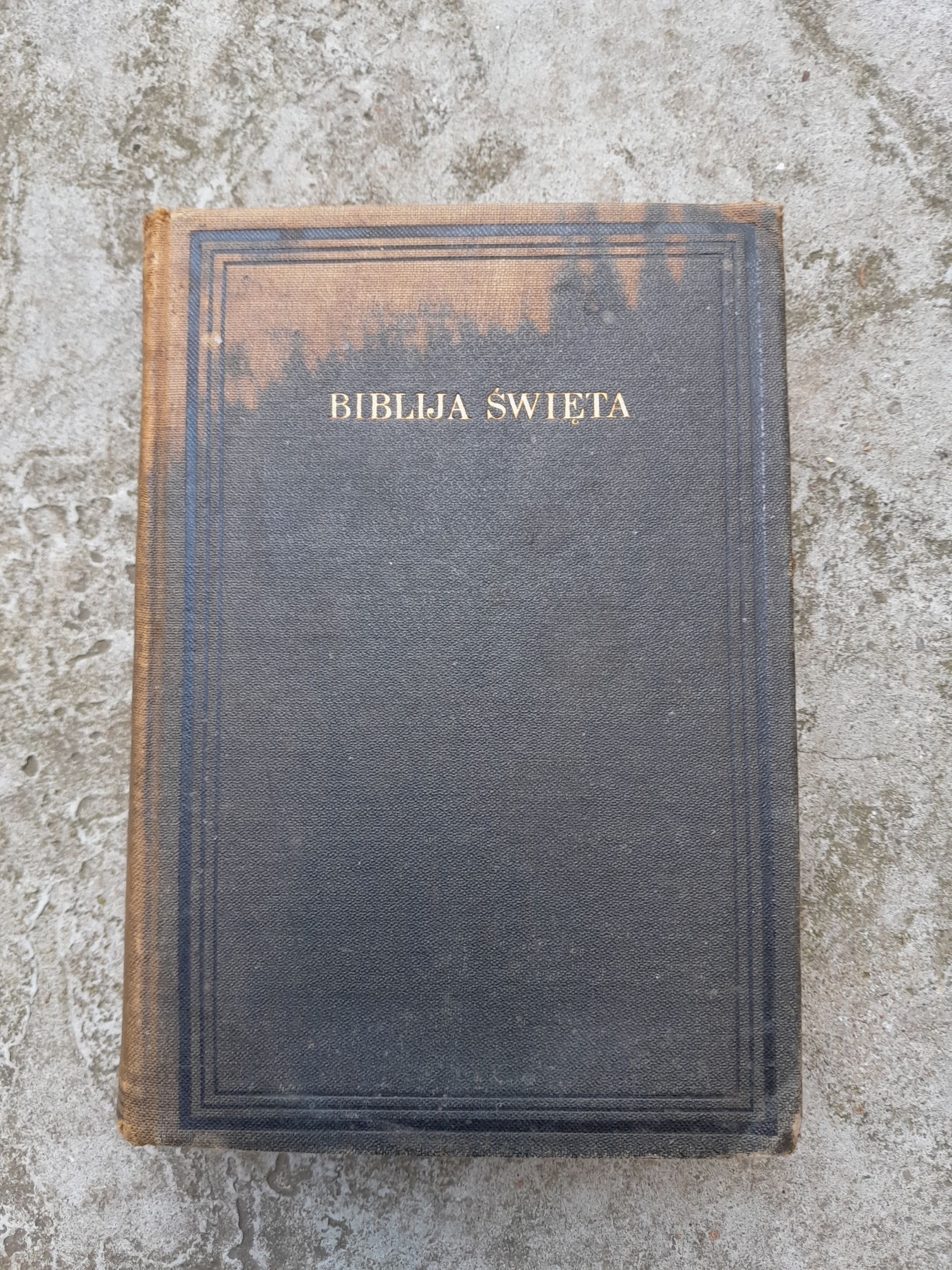 Biblija Święta, to jest wszystko pismo święte [Bez roku wydania]