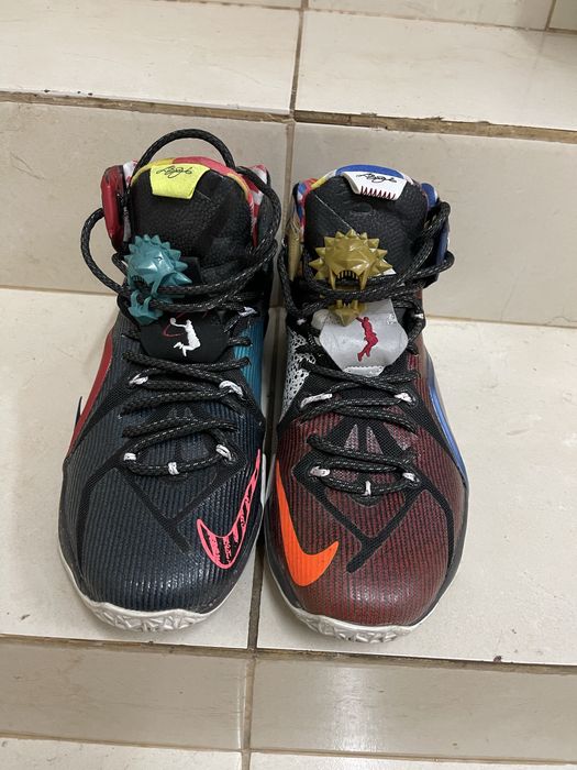 Nike Lebron 12 SE What The
