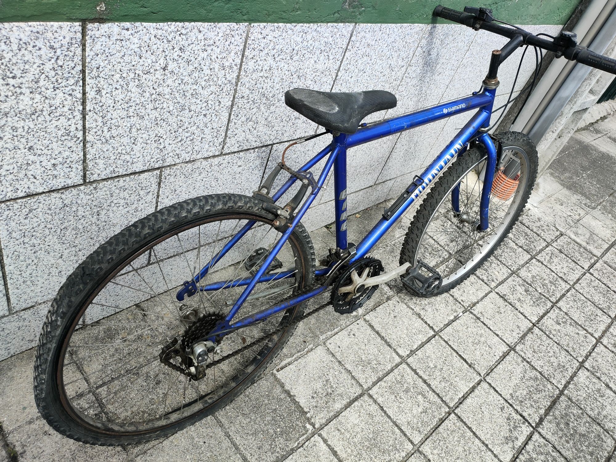 Bicicleta montanha