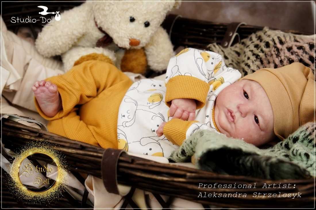 Studio Doll prawdziwy oryginalny reborn Tessa Bountifulbaby