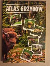 Atlas grzybów - Wiesław Kamiński