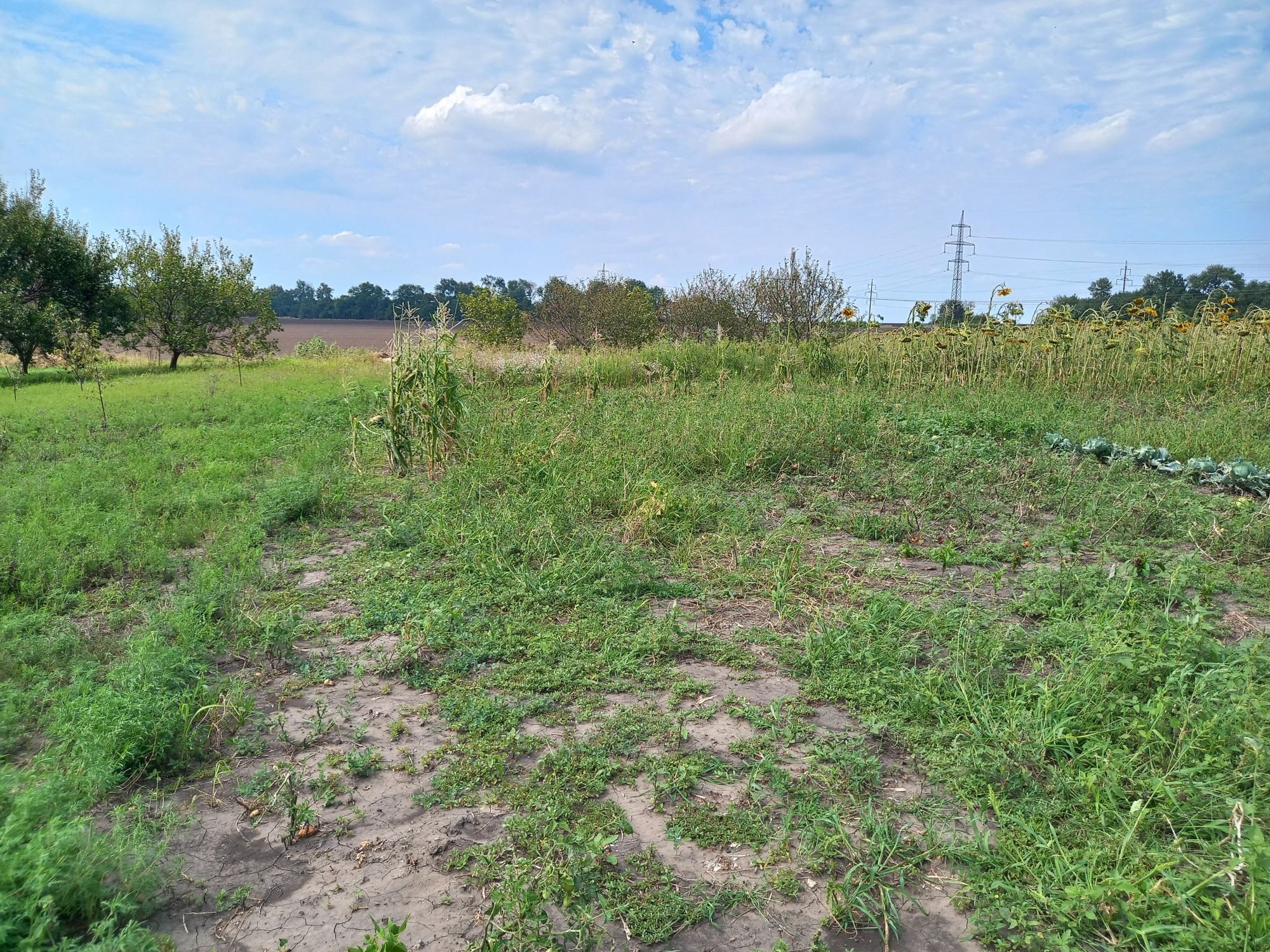 Будинок в пгт.Горького