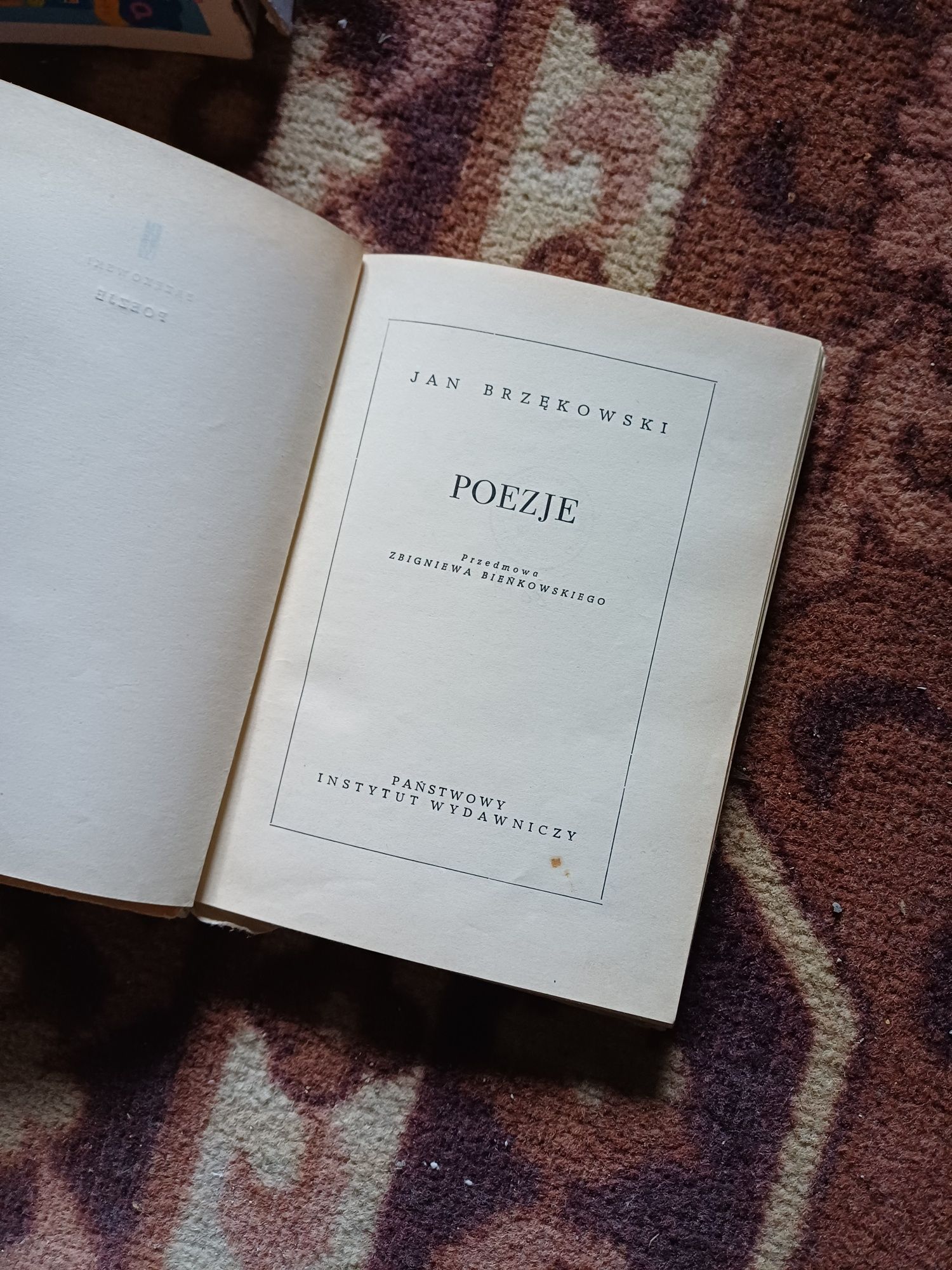 Brzozowski poezje PIW