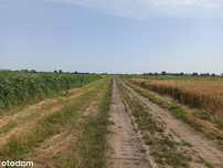 Działka rolna siedliskowa - Gdańsk Orunia 2,19 ha
