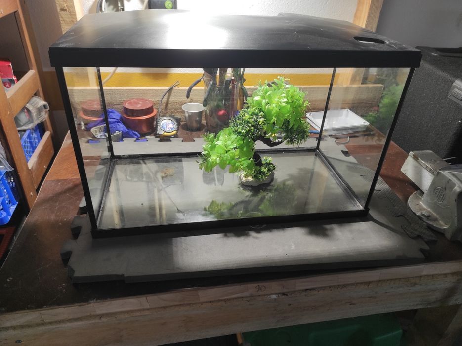 Vendo aquário em bom estado
