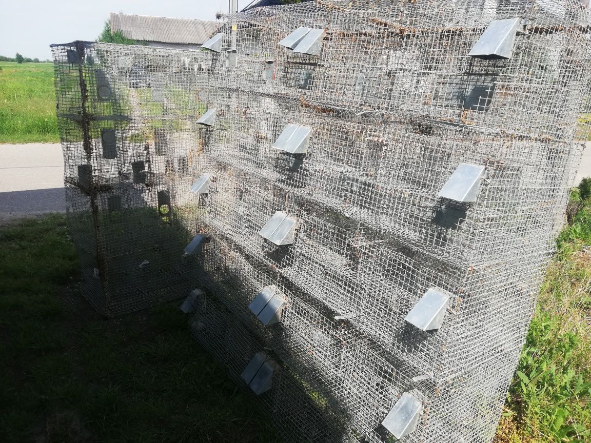 Klatka na kroliki i przepiorki oraz i inne zwierzęta