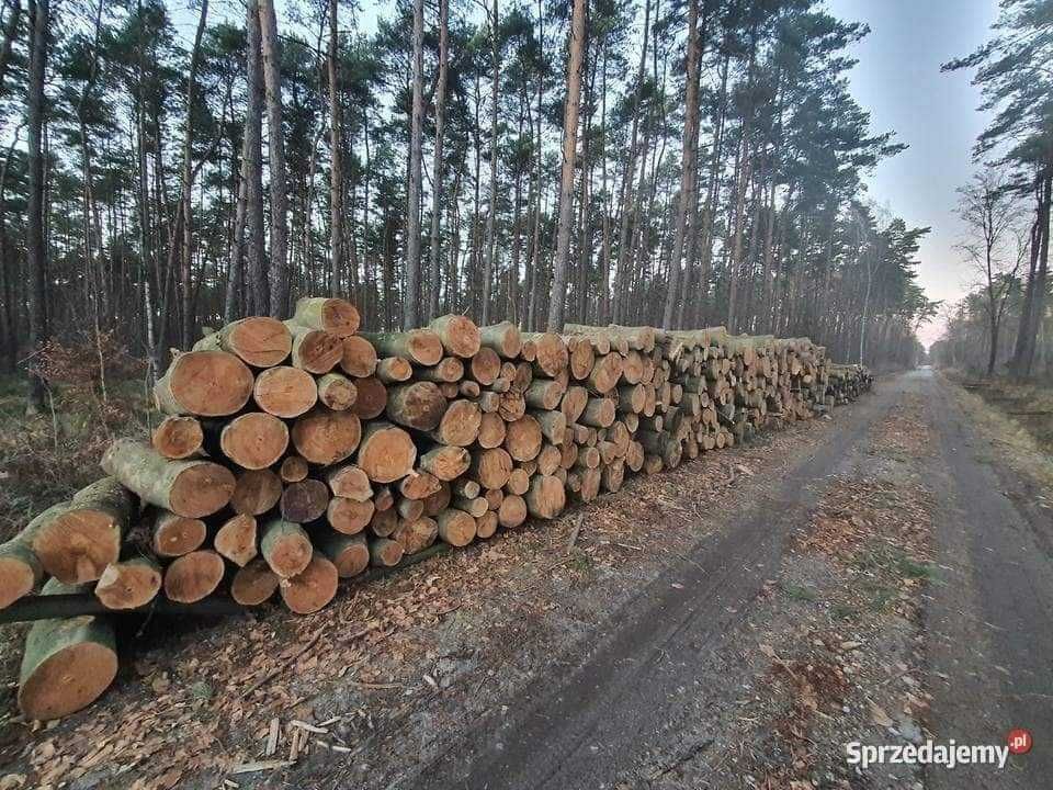 Drewno kominkowe Hurt-Detal w wałkach Transport cała PL Okazja!!!