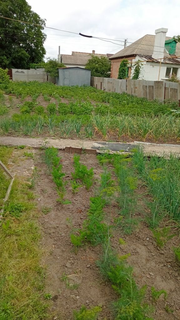 Продам  1/2 будинку.(Вулиця М. Грушевського. Стара назва Чекістів)