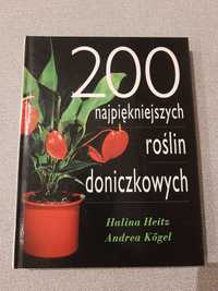 200 najpiękniejszych roślin doniczkowych