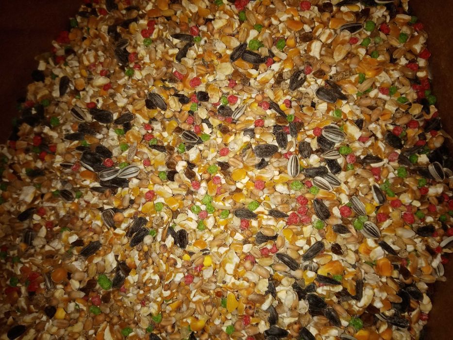 Karma dla dzikich ptaków PPio 10kg Kampol
