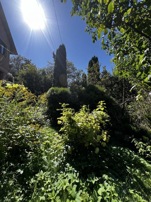 Затишний заміський будинок із каміном та атмосферою мисливського дому!